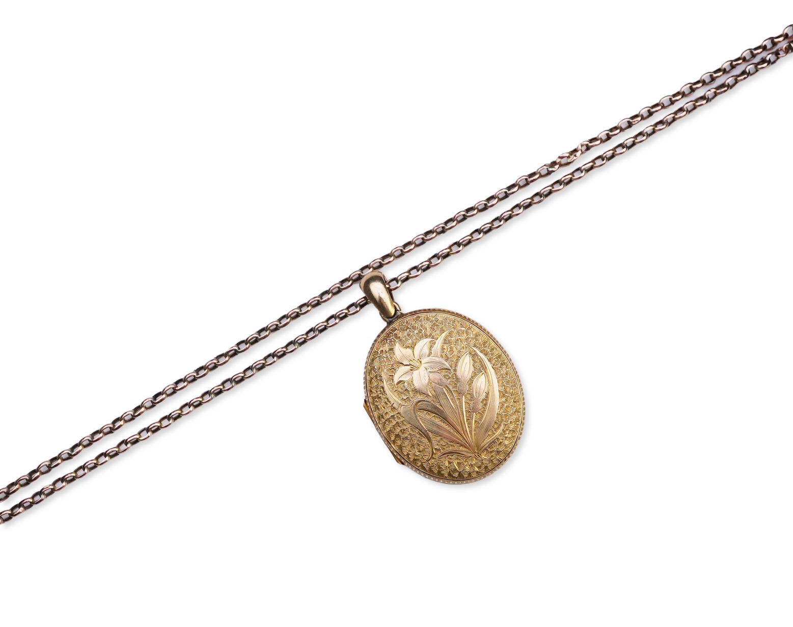 A gold locket and chain, late 19th century